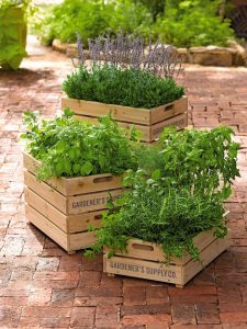 oak crate planters